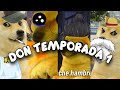 AbroHilo | Don Temporada 1