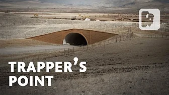 How an 8,000‑Year‑Old Antelope Site in Wyoming Became a Wildlife Crossing