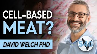 Celebrity What Is Cell-Based Meat with David Welch, Ph.D. Net Worth