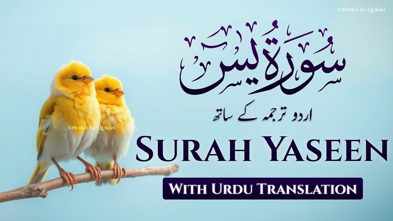 Surah Yaseen With Urdu Translation Full By Qari Mohamed Samir | Urdu And Hindi Tarjuma