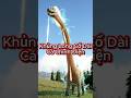 Khủng long cổ dài cá chình điện lạ lùng #shorts #ark