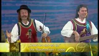 Mayrhofner - Schei-wi-dei-wi-du 2001