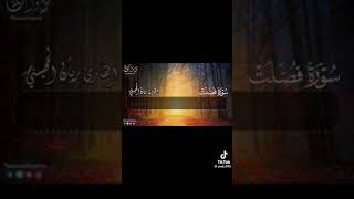 سورة فصلت الشيخ ريان المحيسني