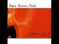 Papa Grows Funk - Slinky Snake