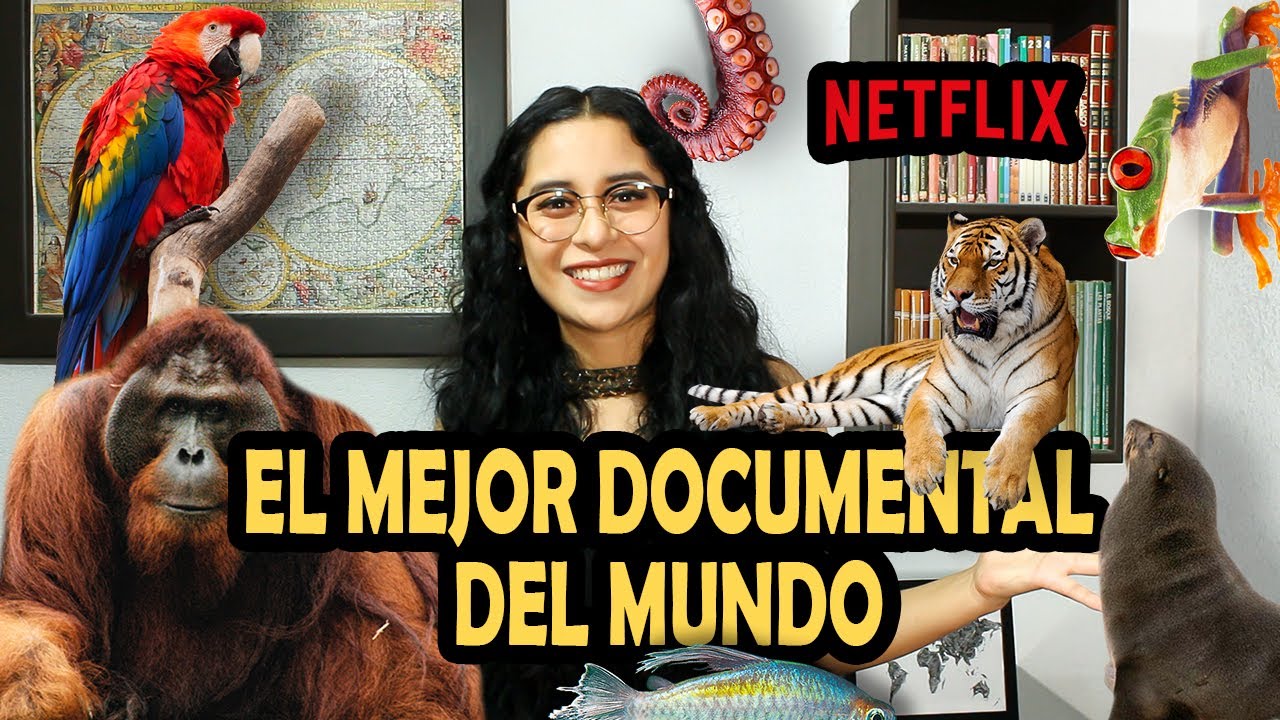 DOCUMENTALES DE NATURALEZA EN NETFLIX ¡ALERTA DE SPOILER ! | Arelhydae ...