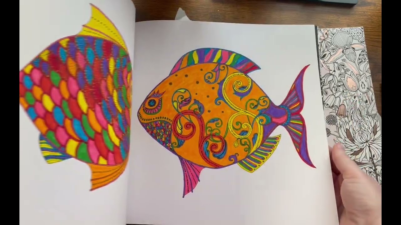 2 project books/buddy colors/channel color alongs 