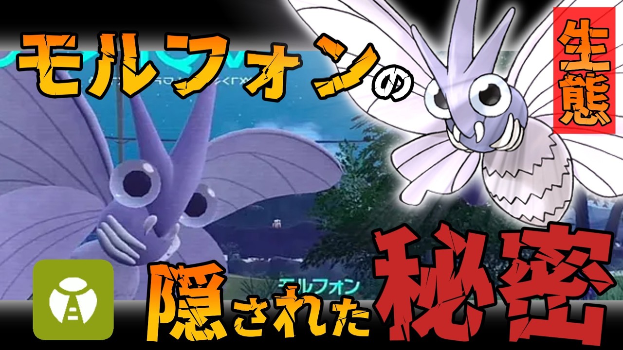 【生態調査＃6】蝶なのに蛹がない？都市伝説以外の謎｜ポケットモンスター Let’s go ピカチュウ