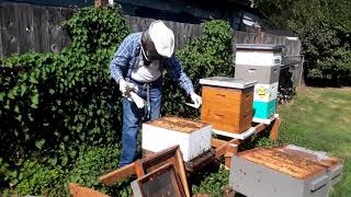 Clean up after combining hives