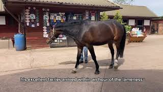 The importance of checking your horse on the turn (lameness in horses)