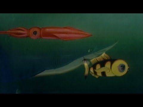 Великая книга природы серия 42 – RU / GREAT BOOK OF NATURE