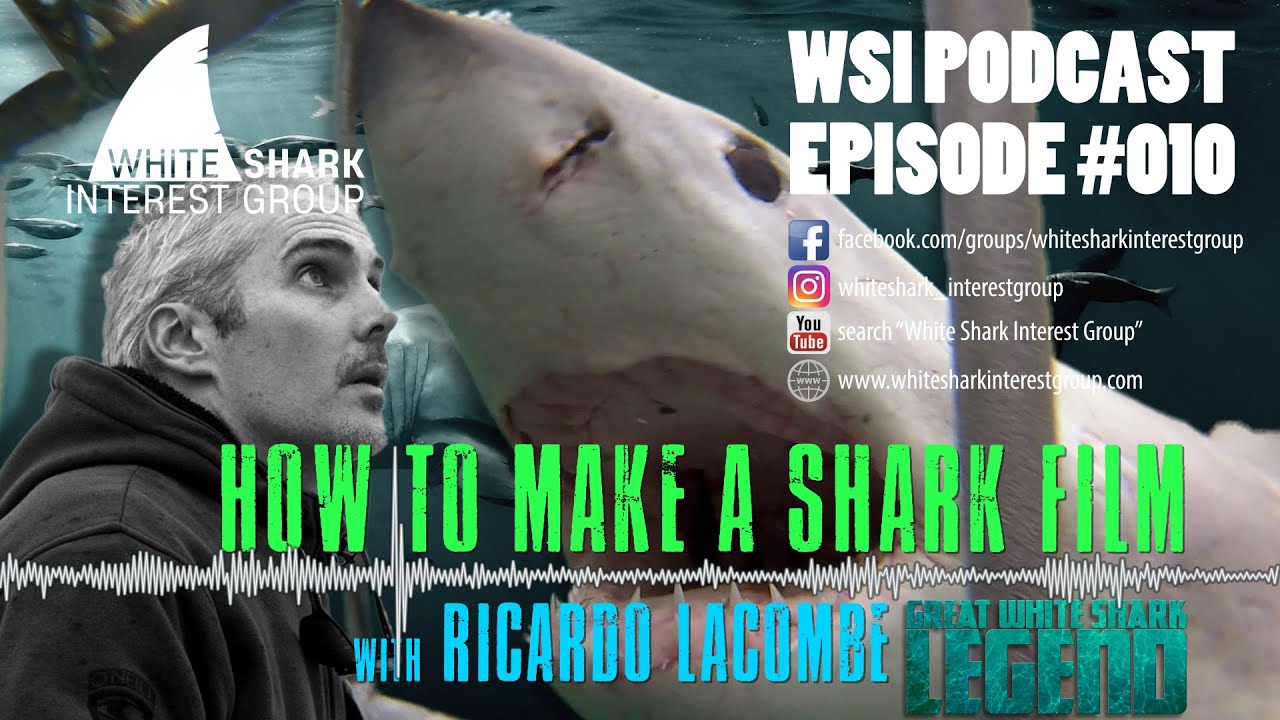 White Shark Interest Group Podcast #010 - HOW TO MAKE A SHARK FILM with RICARDO LACOMBE