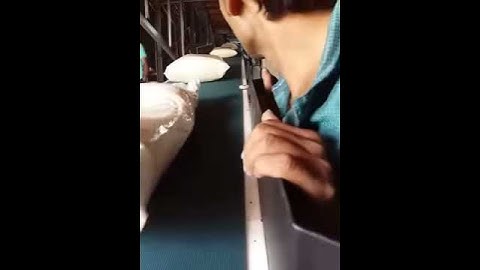 cold storage conveyor