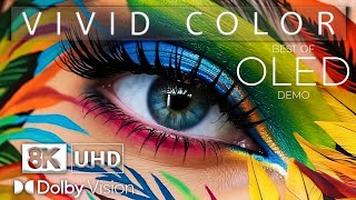 8K Hdr Video Ultra Hd 120 Fps Dolby Vision - Best Of Oled Demo