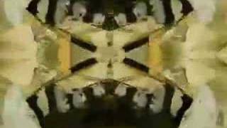 Watch Love She Comes In Colors video