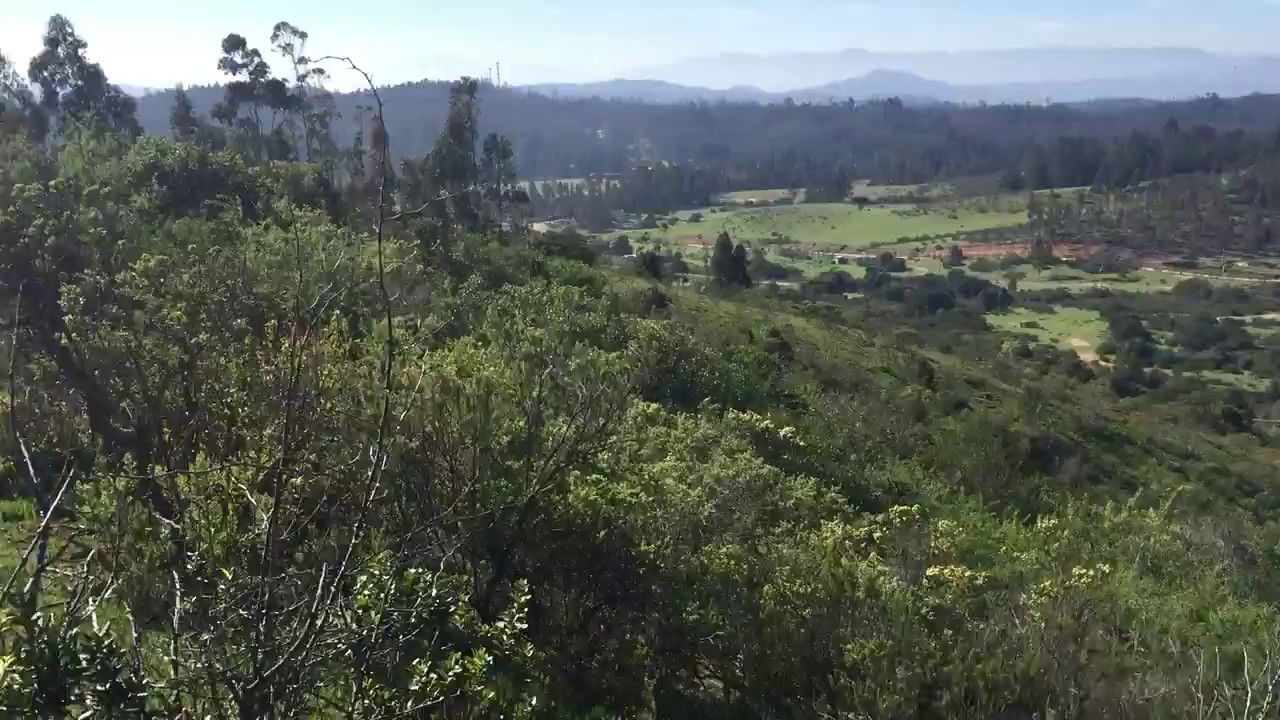 Los Peumos de Peñuelas Real Estate Investment Opportunity YouTube