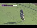BC24 - Ag Bullet 10/27/24