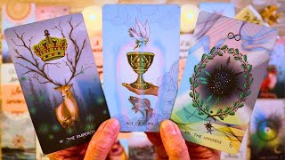 THE PERSON YOU’RE WAITING ON IS ABOUT TO SHOCK YOU!! ❤️ LOVE TAROT screenshot 4