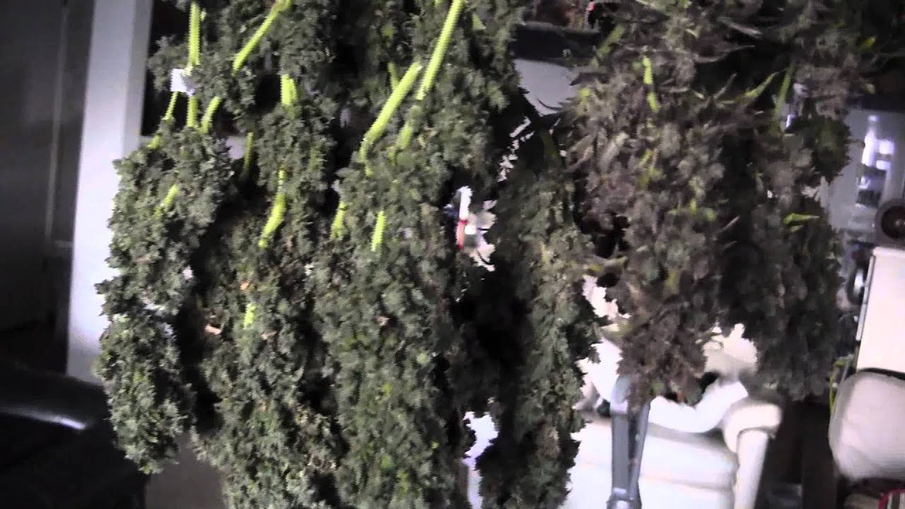 The MK x MK has officially been named! "NorCal UltraViolet"