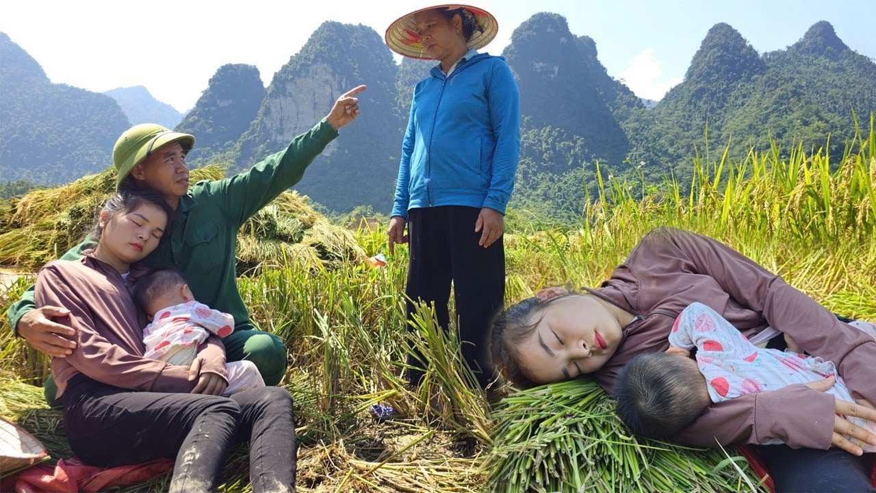 17 year-old girl Helped mom-in-law harvest rice - Fainted from overwork - Husband tried protect wife