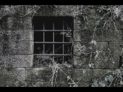 Luke Kelly / The Dubliners - The Auld Triangle