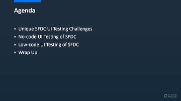 Sales Force UI Testing Point of View