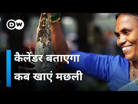 वीडियो: क्या मछली लोगों को पहचानती है? - क्या मछली को चेहरे याद रहते हैं?