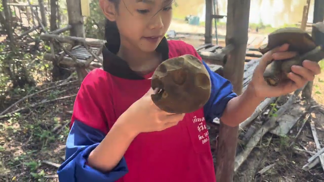 ธิดาลาวกับแม่ผึ้งไปเจออะไรมาดูกัน