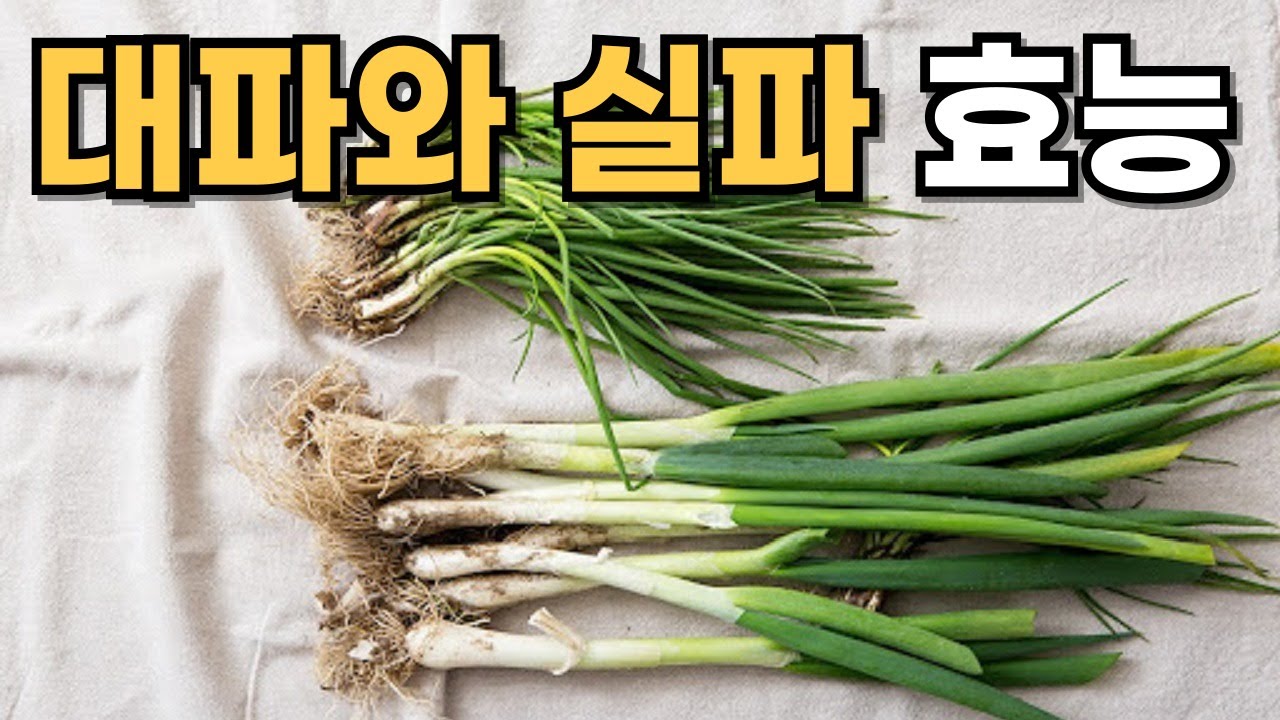 대파와 실파, 쪽파 효능 11가지 - YouTube