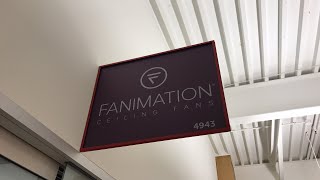 Live at Fanimation
