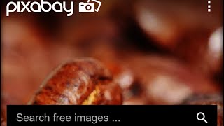 Pixabay: best free stock photo download app for iphone and website to ise anywhere screenshot 4