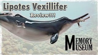 2021 Memory Museum Lipotes Vexillifer Review!!! GORGEOUS model!!!