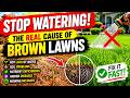 The REAL Reason Your Lawn Is Brown (And It's NOT Lack of Water!) 🌱