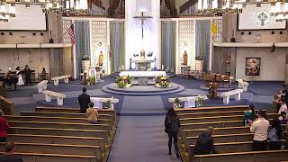 St. Pius Church Live Stream