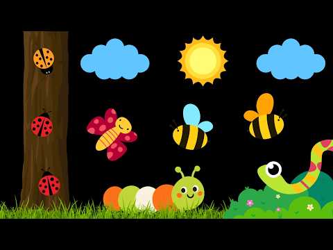 Baby Sensory Video - High contrast - Sensory Videos for Babies - Visual Stimulation for Newborn