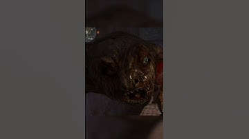 S.T.A.L.K.E.R. - Pseudogiants find you everywhere #stalkeranomaly #stalker2 #stalker