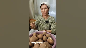 РАЗБУДИ КАРТОШКУ ПОСЛЕ САЖАЙ