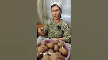 РАЗБУДИ КАРТОШКУ ПОСЛЕ САЖАЙ 
