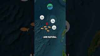 The Spratly Islands Dispute