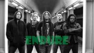 Nonpoint - Endure - Lyric Video