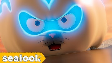 The Legendary Racer : All of Soda Seal #088ㅣSEALOOK Compilation