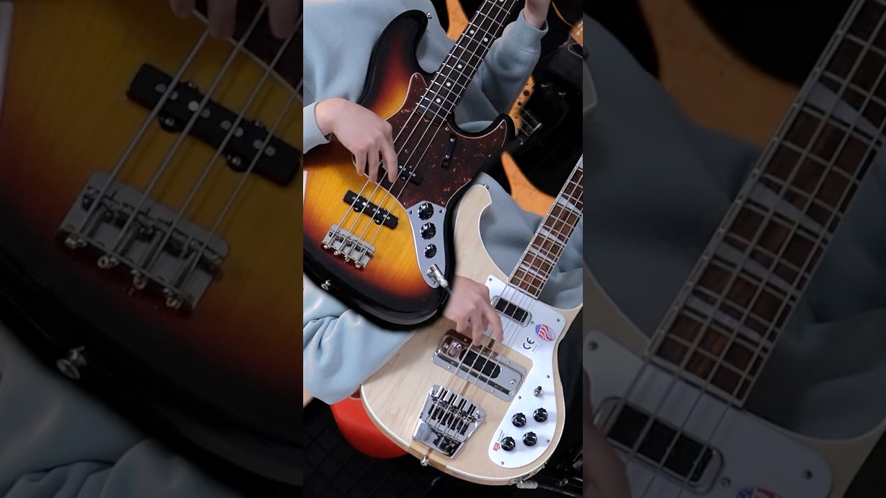 Bass Shop Geek IN Box