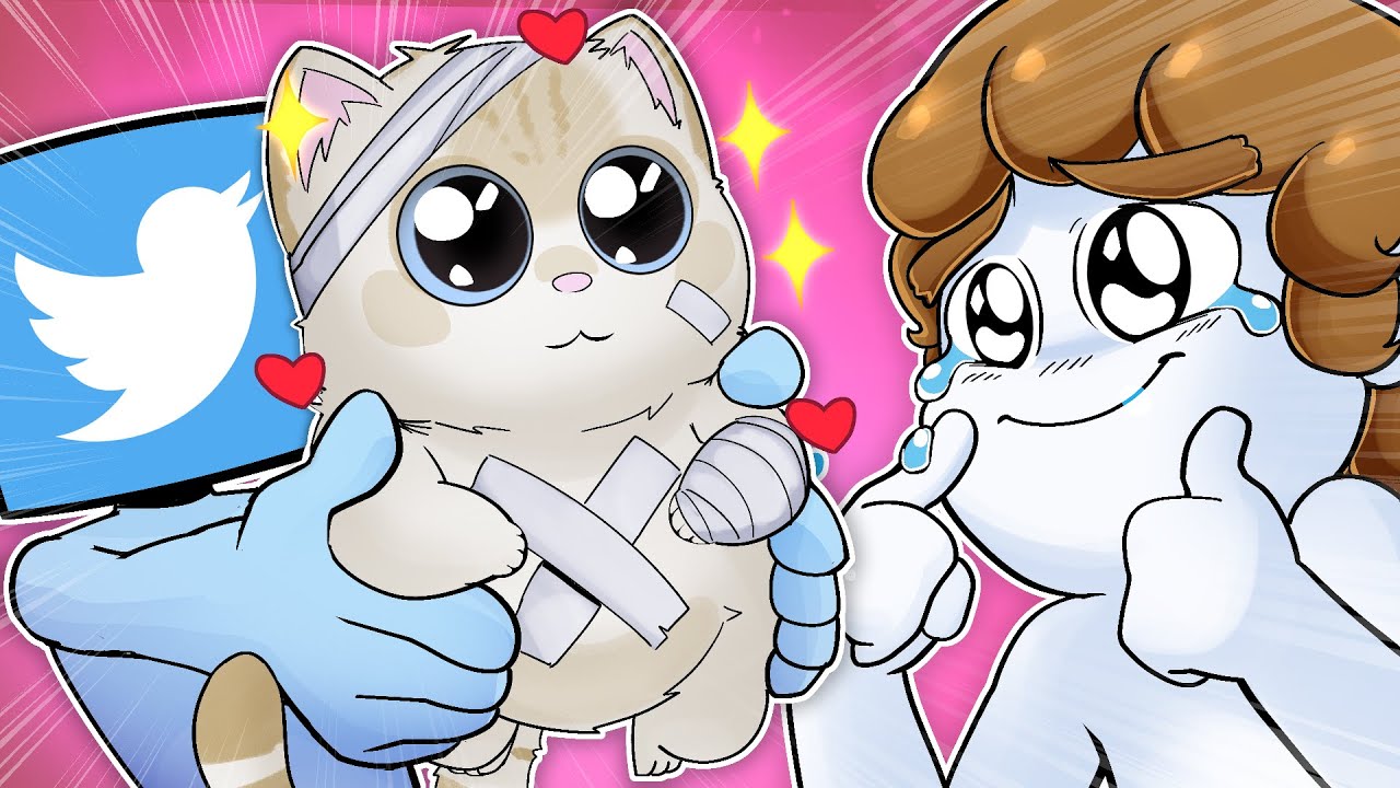 Como o Twitter salvou um gato! (Que milagre??)