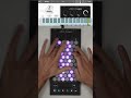 Exquis - @decentsamples Dualo Legacy soundbank preview