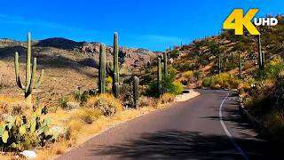 Saguaro National Park 4K Scenic Drive | Giant Cacti & Sonoran Desert Views