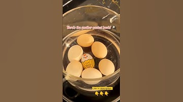 Colour-Changing Egg Timers for Perfect Boiled Eggs 🥚 | The VIRAL egg timer hack | Amazon finds