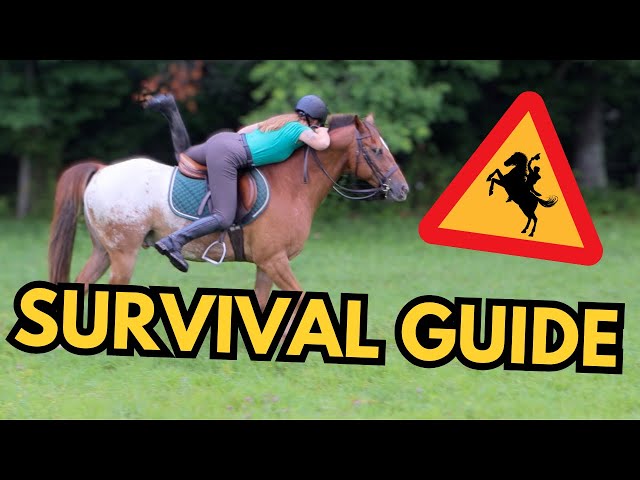 Bucking Vs Rearing Horses Bucking And Rearing People Off Getting Bucked Off Day 9 Being