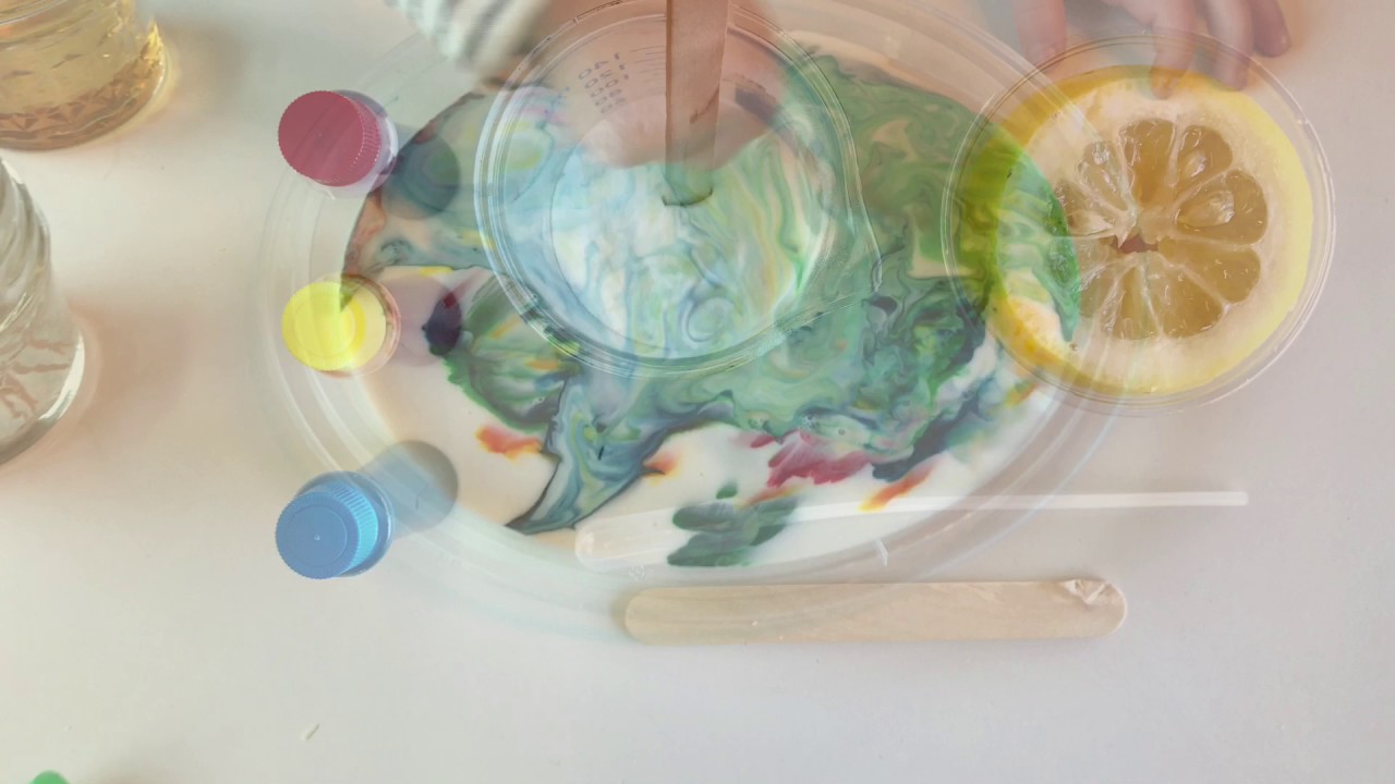 the little wonder lab