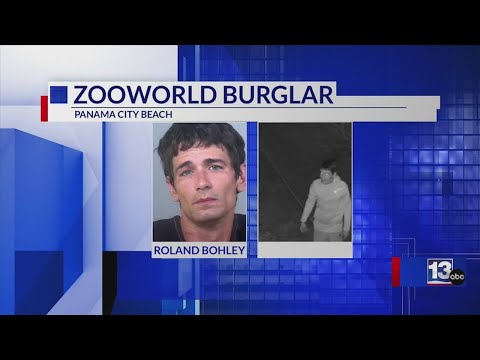 These Manatee County Mugshots Will Make Your Jaw Drop