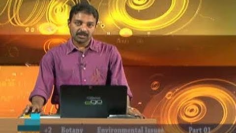 PPECS Plus Two Botany Environmental Issues Part 01