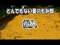 とんでもない量のもみ殻を投入して土作りした、、、